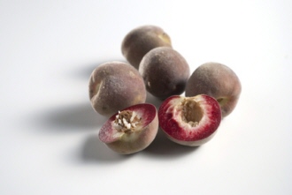 Die dunkelrote Frucht des Weinbergspfirsich, auch Weinbergpfirsisch oder Weingartenpfirsisch genannt