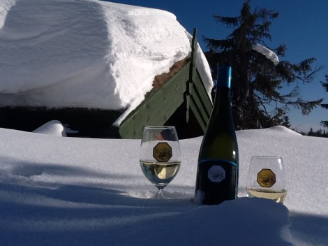 Hermeswein im Schnee